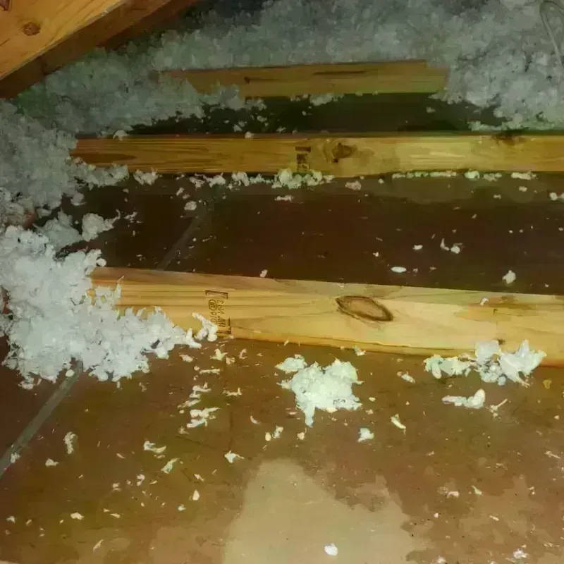 Attic Water Damage in Liverpool, NY